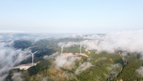 Quảng Trị và Israel: Thúc đẩy hợp tác trong lĩnh vực năng lượng tái tạo