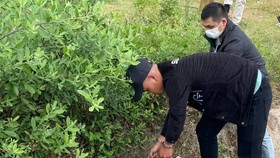 Thanh niên vứt 12.000 viên ma túy xuống đường khi bị công an phát hiện