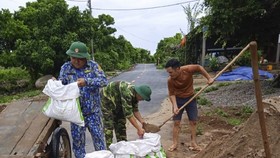 Quảng Trị: Huyện đảo Cồn Cỏ chủ động phòng chống bão Noru