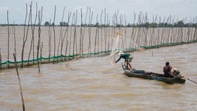 ĐBSCL: Cần liên kết kích hoạt khả năng thích ứng, phục hồi để phát triển