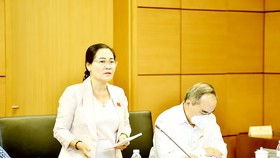 Đại biểu Nguyễn Thị Lệ (TPHCM) phát biểu tại phiên thảo luận tổ chiều 31-5. Ảnh: QUANG PHÚC