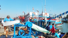 Giá nhiên liệu tăng nhưng nhờ chủ động thích ứng, hoạt động khai thác hải sản của ngư dân tỉnh Bình Thuận vẫn đạt hiệu quả