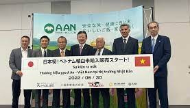 Gạo Việt vào thị trường khó tính