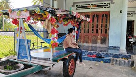  Chiếc xe bò chở khách được trang trí đẹp mắt của người dân  vùng biển Cam Bình bị “thất nghiệp” sau lệnh cấm