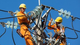 Đồng Nai: Dự án hạ ngầm lưới điện đạt khoảng 19% đường dây
