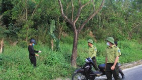 Cắm chốt, bố trí nhân viên ngăn chặn hành động gây hại đối với loài voọc ở bán đảo Sơn Trà