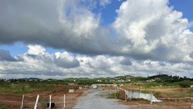 Quảng Ngãi: Xử lý doanh nghiệp tự ý lấp ruộng lúa làm dự án bất động sản