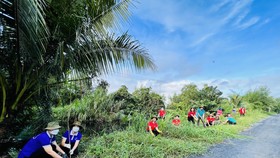 Huyện Bình Chánh ra quân trồng cây, tổng vệ sinh đón Tết Nguyên đán