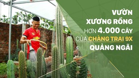 Vườn xương rồng hơn 4.000 cây của chàng trai 9X Quảng Ngãi