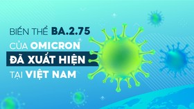 Những điều cần biết về biến thể BA.2.75 của Omicron