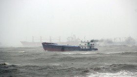 Không để xảy ra thảm họa về môi trường trên vùng biển Quy Nhơn 
