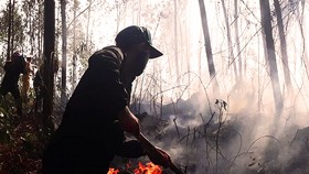 5 giờ đồng hồ, lửa lớn thiêu cháy gần 20ha rừng trồng