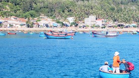 Bình Định tạm dừng hoạt động đón khách tham quan đảo Cù Lao Xanh