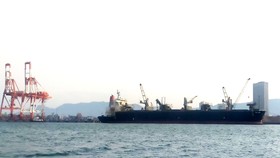 Phát hiện 7 thuyền viên từ Indonesia vào cảng Quy Nhơn nghi mắc Covid-19