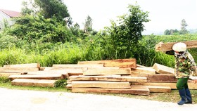 Tạm đình chỉ nhân viên bảo vệ rừng giấu 155 khúc gỗ trái phép trong nhà 