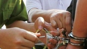 Khởi tố, bắt tạm giam 2 cán bộ sai phạm về đất đai ở Bình Định