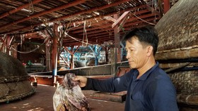 Gần 1.000 tấn mực bị “ế” do thương lái Trung Quốc thay đổi cách thu mua