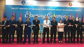 Các quốc gia ASEAN đã có nhiều sáng kiến để cùng chung tay xây dựng cơ chế phát triển nghề cá khu vực hiện đại
