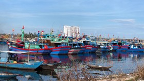 Ngăn chặn, chấm dứt tàu cá và ngư dân vi phạm vùng biển nước ngoài