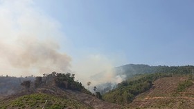 Kịp thời khống chế đám cháy rừng phòng hộ tại Quảng Nam