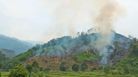 Đốt thực bì, cháy hơn 32 ha rừng phòng hộ tại Quảng Nam