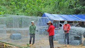 Nỗ lực khắc phục hạ tầng vùng sạt lở tại Quảng Nam