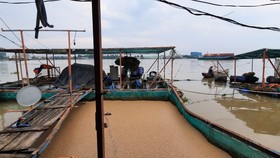 Sà lan tông chìm 2 bè cá trên sông Tiền