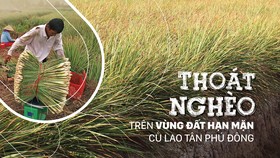 Thoát nghèo trên vùng đất hạn mặn cù lao Tân Phú Đông