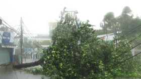 Vũng Tàu mưa lớn, gió giật mạnh, Khánh Hòa - Ninh Thuận ngập lụt, đường sắt tê liệt 