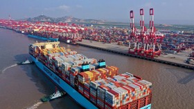 Vận tải biển biến động trước đà lao dốc kinh tế thế giới
