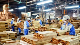 DN xuất khẩu gỗ đối diện rủi ro mới ở thị trường Mỹ 