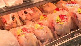 Thịt gia cầm được tiêu thụ mạnh tại TPHCM