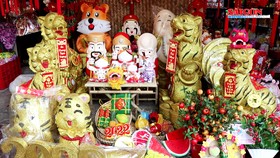 Phố Hải Thượng Lãn Ông nhộn nhịp mùa tết