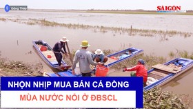 Nhộn nhịp mua bán cá đồng mùa nước nổi ở ĐBSCL