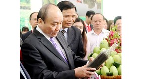 Thủ tướng Nguyễn Xuân Phúc tìm hiểu các sản phẩm của Đồng Tháp. Ảnh: THANH TÙNG