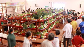Nhiều người đến tham dự lễ hội trái cây