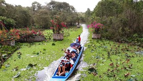 ĐBSCL có thêm khu du lịch sinh thái rừng ngập nước