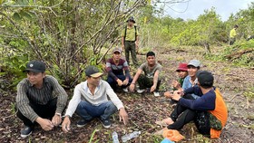 Bắt quả tang 10 người ngang nhiên chặt phá rừng, bao chiếm đất ở Phú Quốc