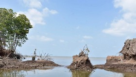 Kiên Giang đầu tư trên 17.000 tỷ đồng chống sạt lở