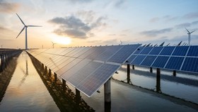EVN đề xuất giảm 30% giá mua điện mặt trời, điện gió