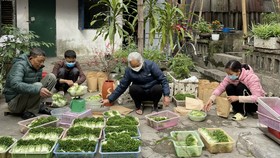 Quà tết sớm tới những bệnh nhân “xóm” chạy thận