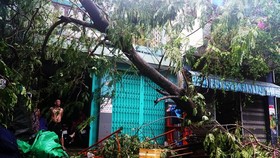 Tan hoang sau bão số 5, phố biển Quy Nhơn nỗ lực khắc phục thiệt hại