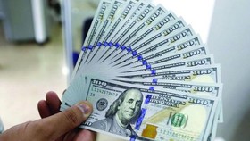 Trục lợi từ chênh lệch tỷ giá chính thức và tự do cần phải rà soát và xử lý