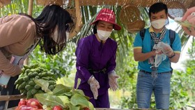 Tourists visit Ben Tre on November 13. (Photo: SGGP)