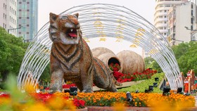 Spectacular images of Nguyen Hue Flower Street in Year of Tiger