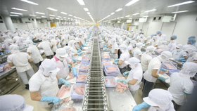 Vietnam's GDP growth this year has been predicted at 5.3 percent by the WB. (Photo: SGGP)