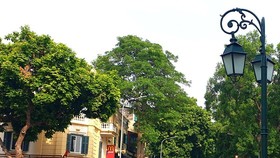 Hanoi Tourism Festival 2022 themed “Hanoi-Come to love '' will take place on May 13-15 at the Ly Thai To Park and Dinh Tien Hoang street.