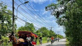 Visitors  travel by bicycle and horse-drawn carriage in Cu Chi District.