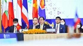Vietnamese Foreign Minister Bui Thanh Son (C) at the ASEAN-RoK Foreign Ministers' Meeting. (Photo: VNA)