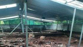 At the Giong Ca Vo archaeological site